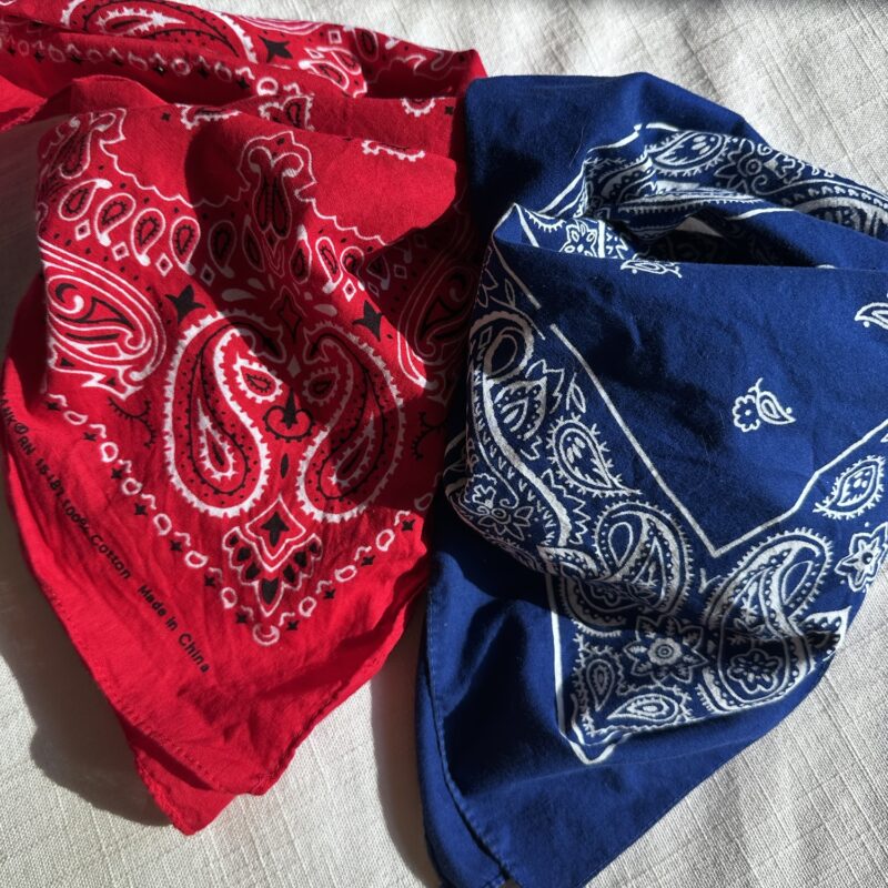 Americana Bandana Duo